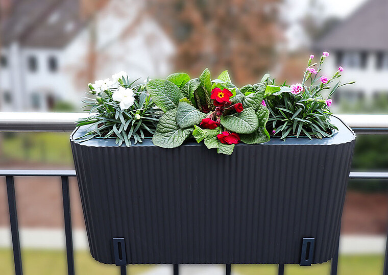 Balkon-Blumenkasten mit bunten Blumen